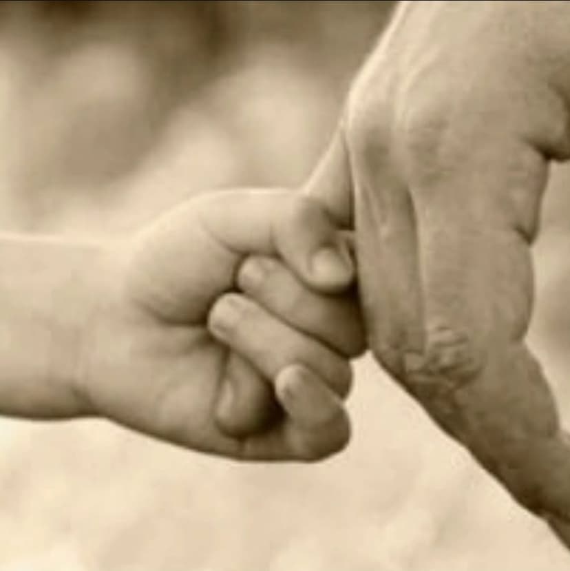 POMOĆ JETIMSKOJ PORODICI(E.H)